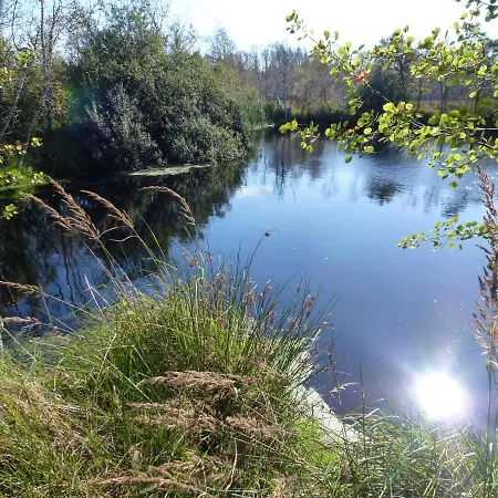 Meernahe Direkt Am Rhododendronpark