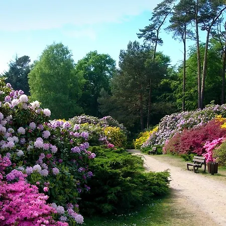 Meernahe Direkt Am Rhododendronpark Graal-Müritz