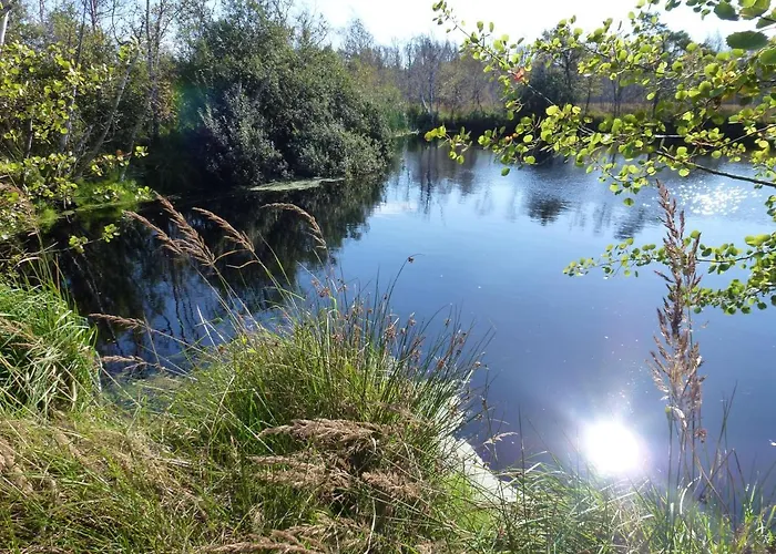 Meernahe Direkt Am Rhododendronpark
