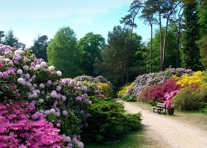 Meernahe Direkt Am Rhododendronpark غرال موريتز