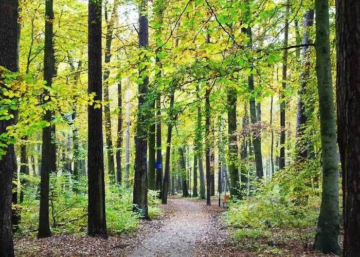Meernahe Direkt Am Rhododendronpark شقة